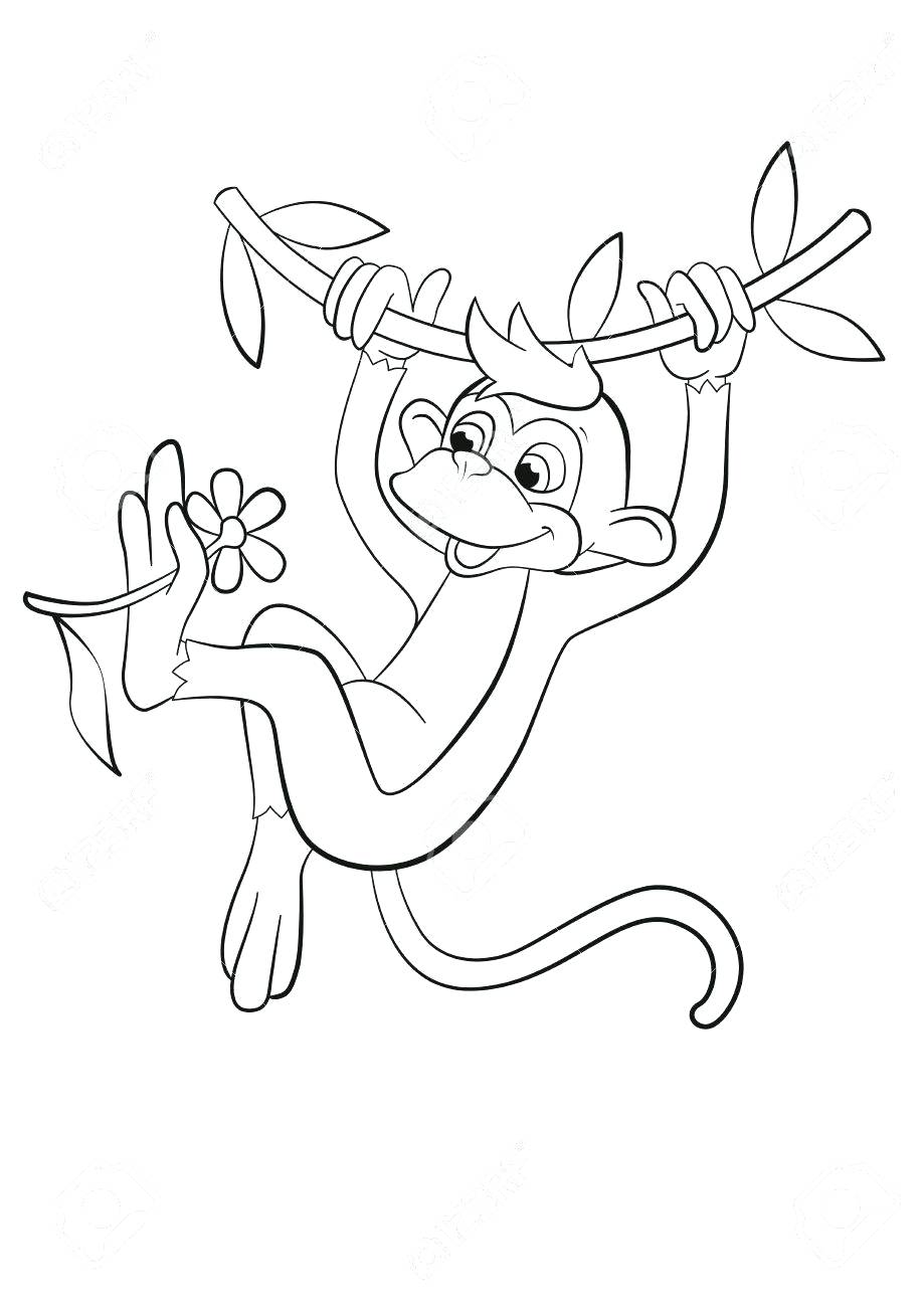 919x1300 Coloring Page ~ Cute Monkey Coloring Pages Valentine Sheet Cartoon