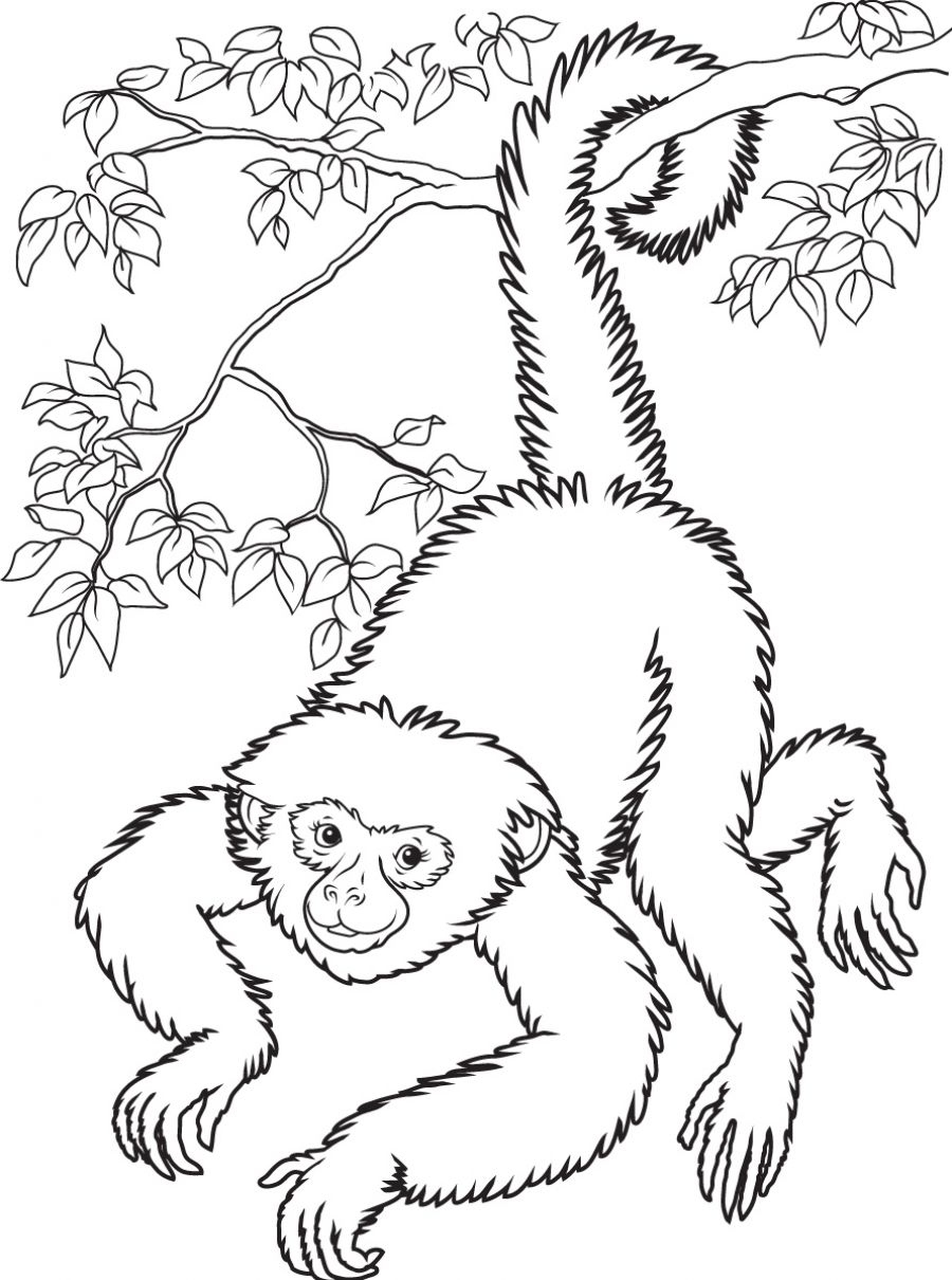 900x1210 Coloring Pages Free Unique Valentines Coloring Kids Coloring