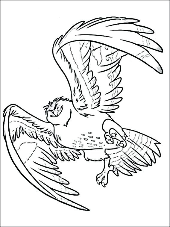 568x758 Moana Coloring Pages Printable Or Baby And Friends 13 Online