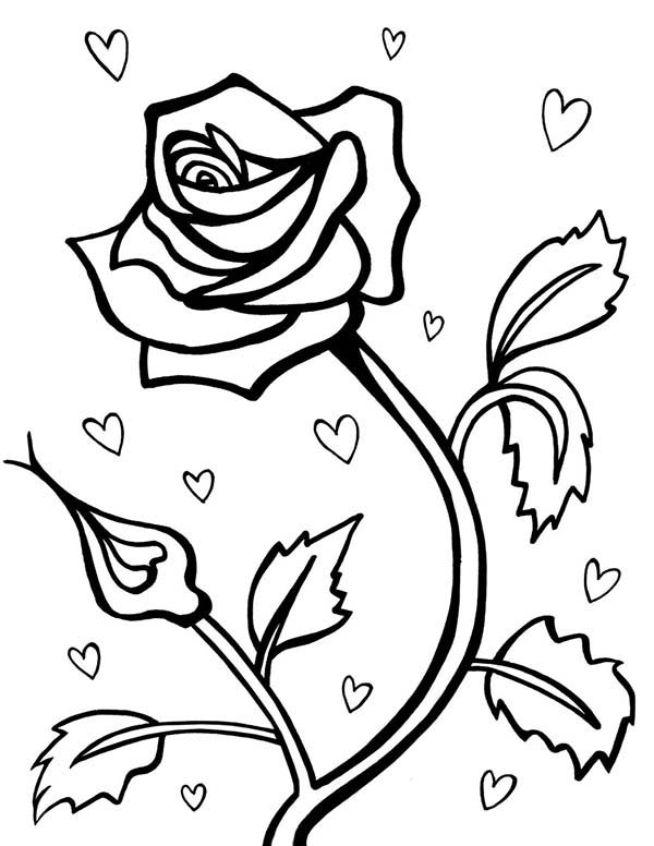 600x776 Rose For Valentine Day Coloring Page