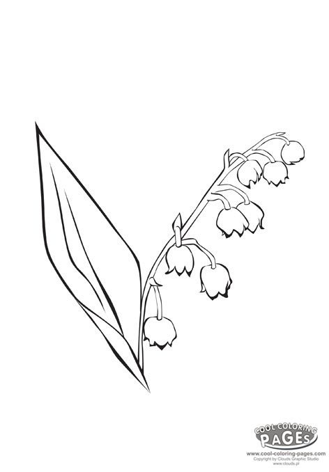 472x678 Lily Of The Valley