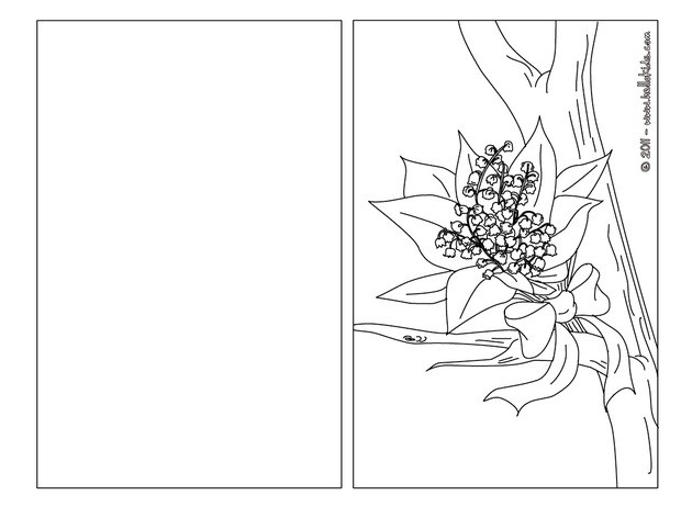 620x482 Lily Of The Valley Coloring Pages