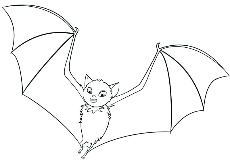 800x571 Bats Coloring Pages Free Coloring Pages Cute Bat Coloring Pages