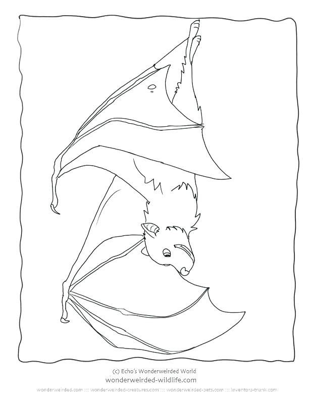 612x792 Bat Coloring Also Vampire Bat Coloring Page Rouge The Bat Coloring