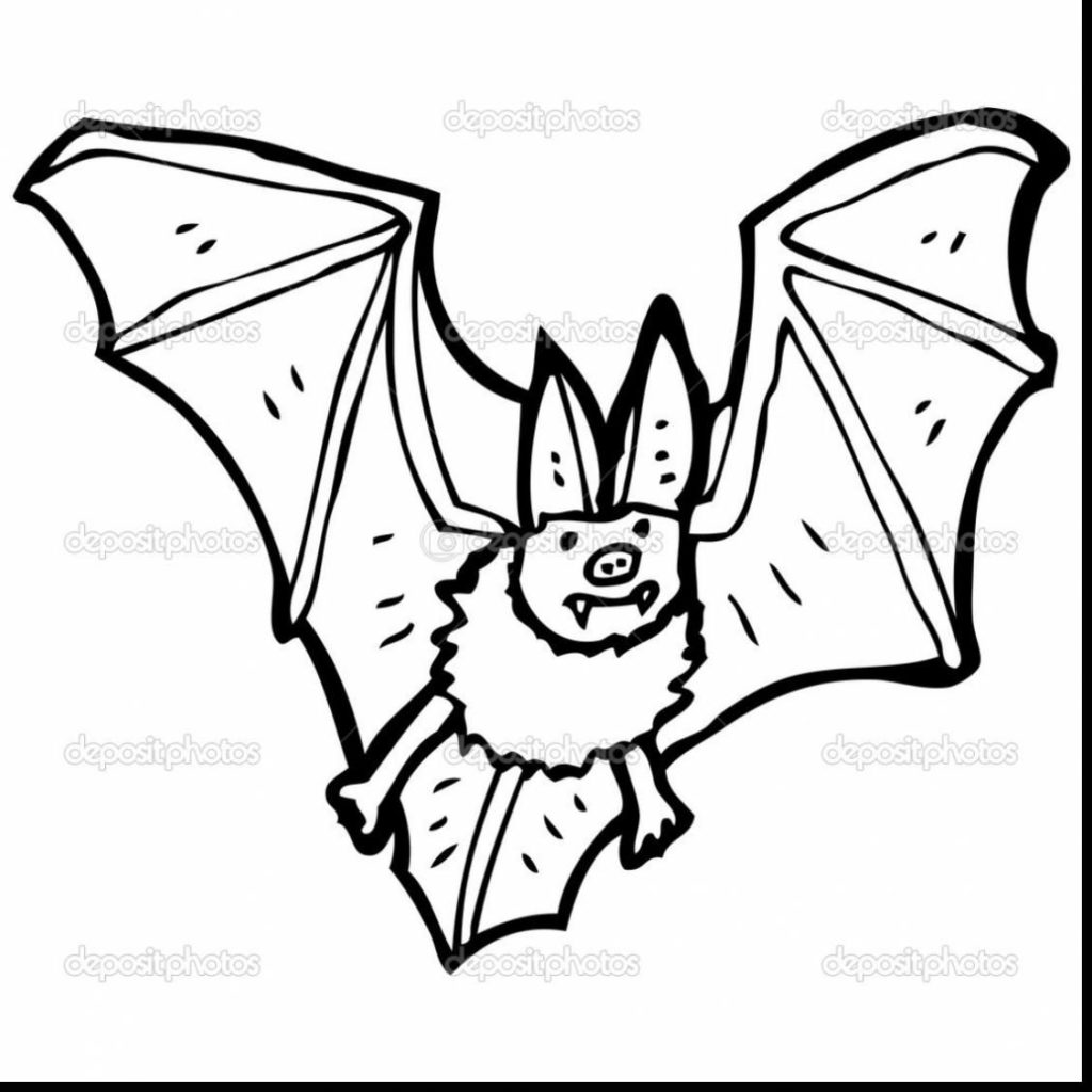 1024x1024 Vampire Bat Coloring Pages Coloring Pages Kids