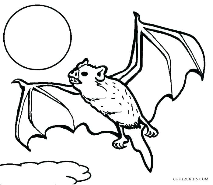 700x610 Bat Coloring Pages