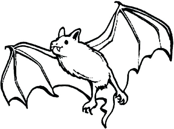 600x444 Bat Coloring