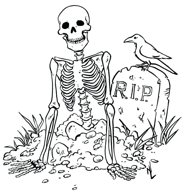 736x776 Vampire Coloring Book Cute Vampire Diaries Colouring Book