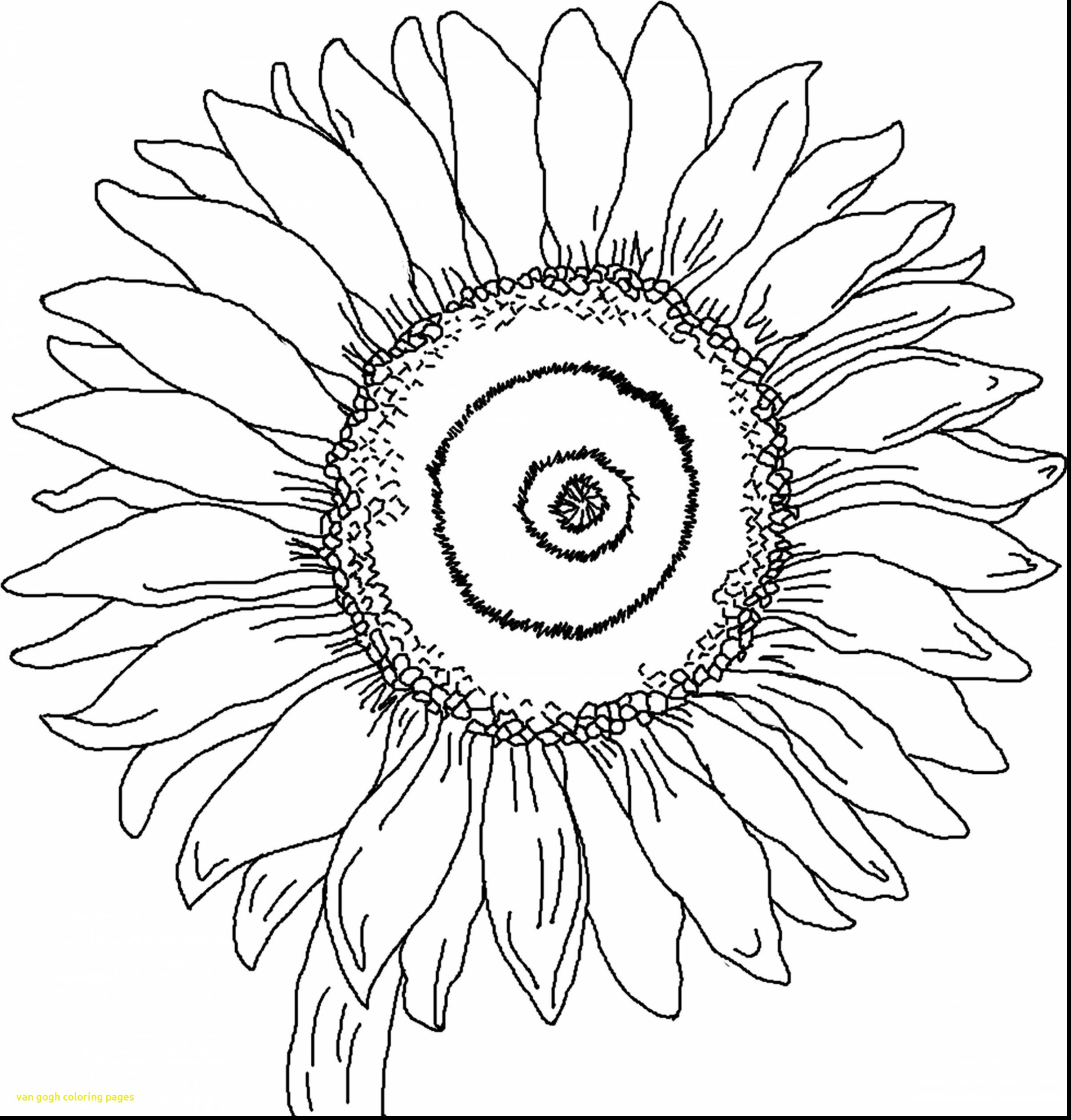 2640x2762 Powerful Vincent Van Gogh Coloring Pages Monumental With Baby