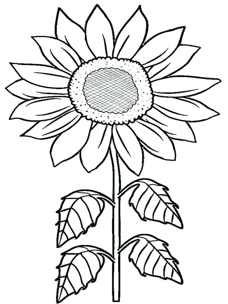 750x1000 Coloring Pages Van
