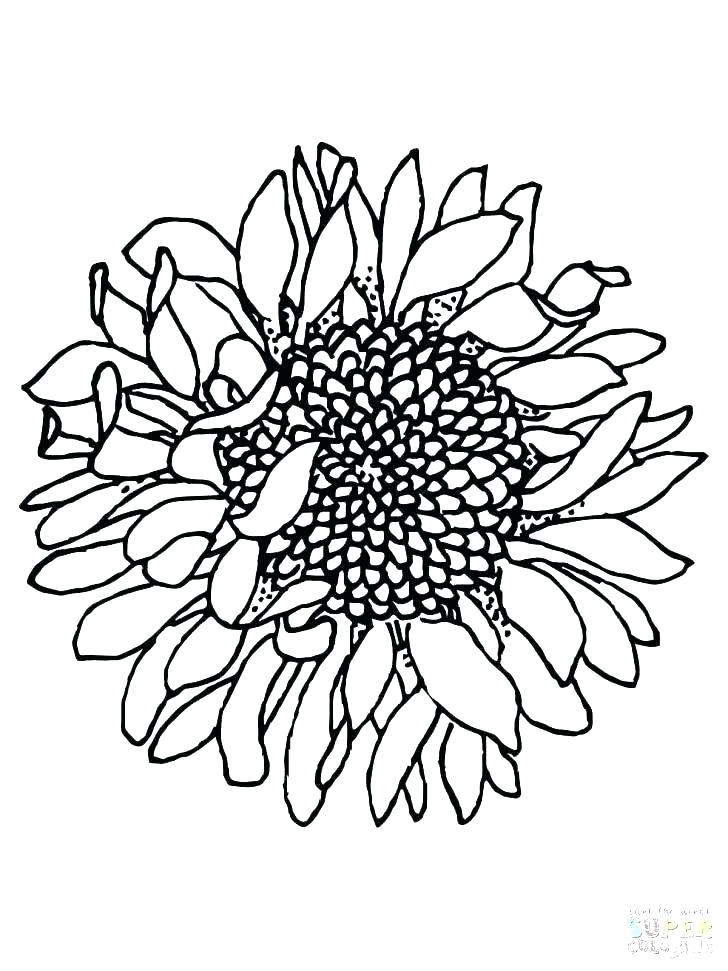 728x971 Coloring Pages Van Coloring Pages Of Vans Shoes