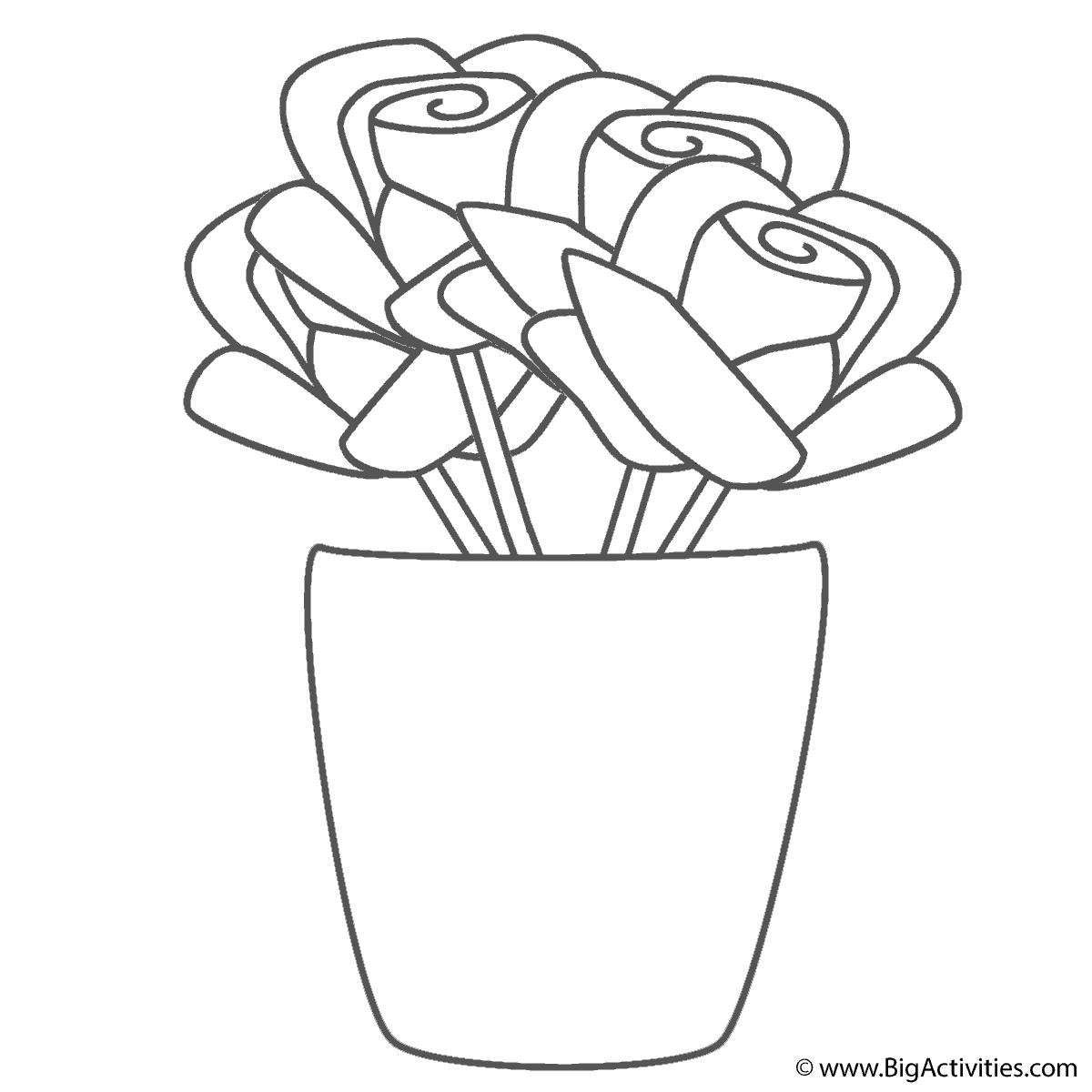 1200x1200 Roses In Vase