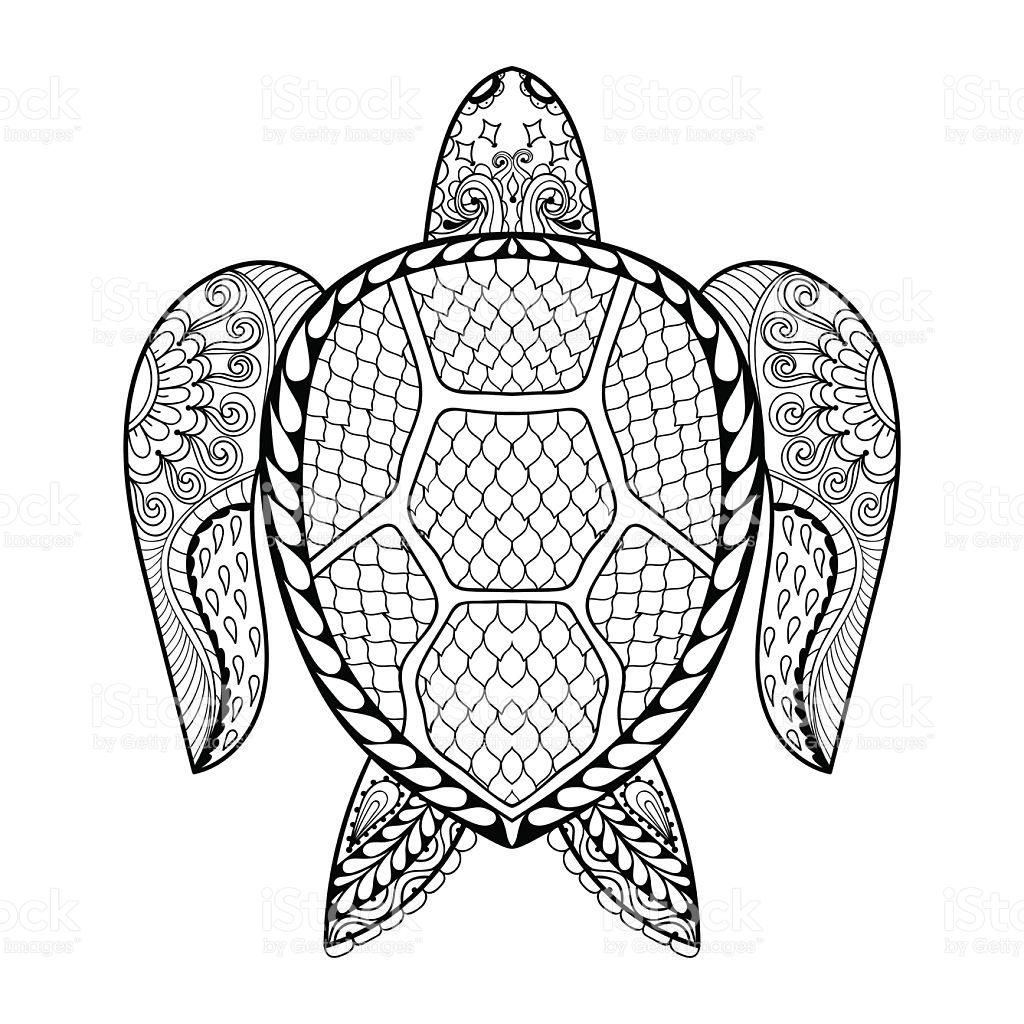 1024x1024 Adult Antistress Coloring Page With Turtle Vector Id511542682