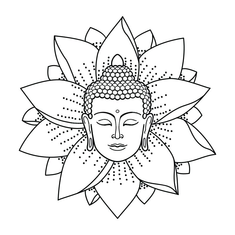 800x800 Buddha Coloring Page Download Head And Lotus Stock Vector