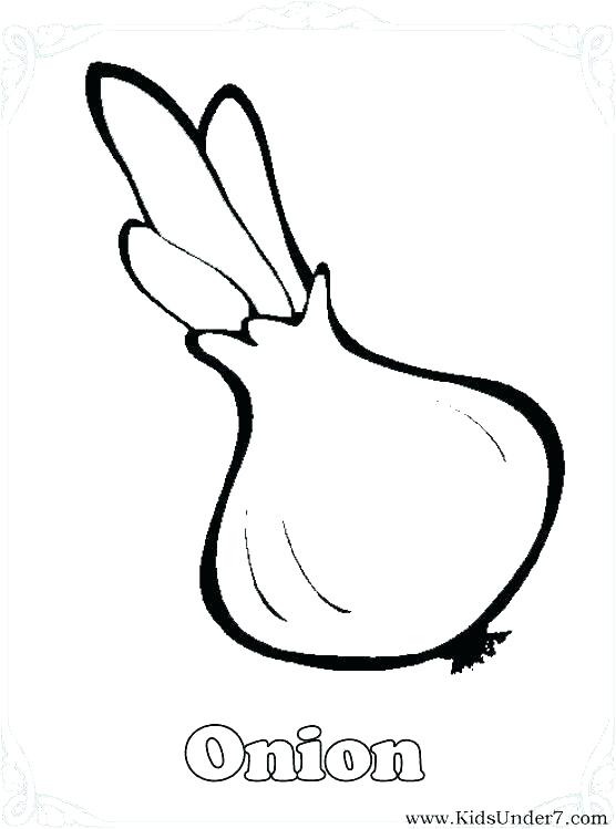 556x749 Vegetable Coloring Page Sovaluable.us