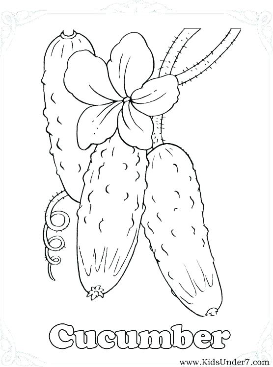 556x749 Printable Vegetable Coloring Pages Fruit And Vegetable Coloring