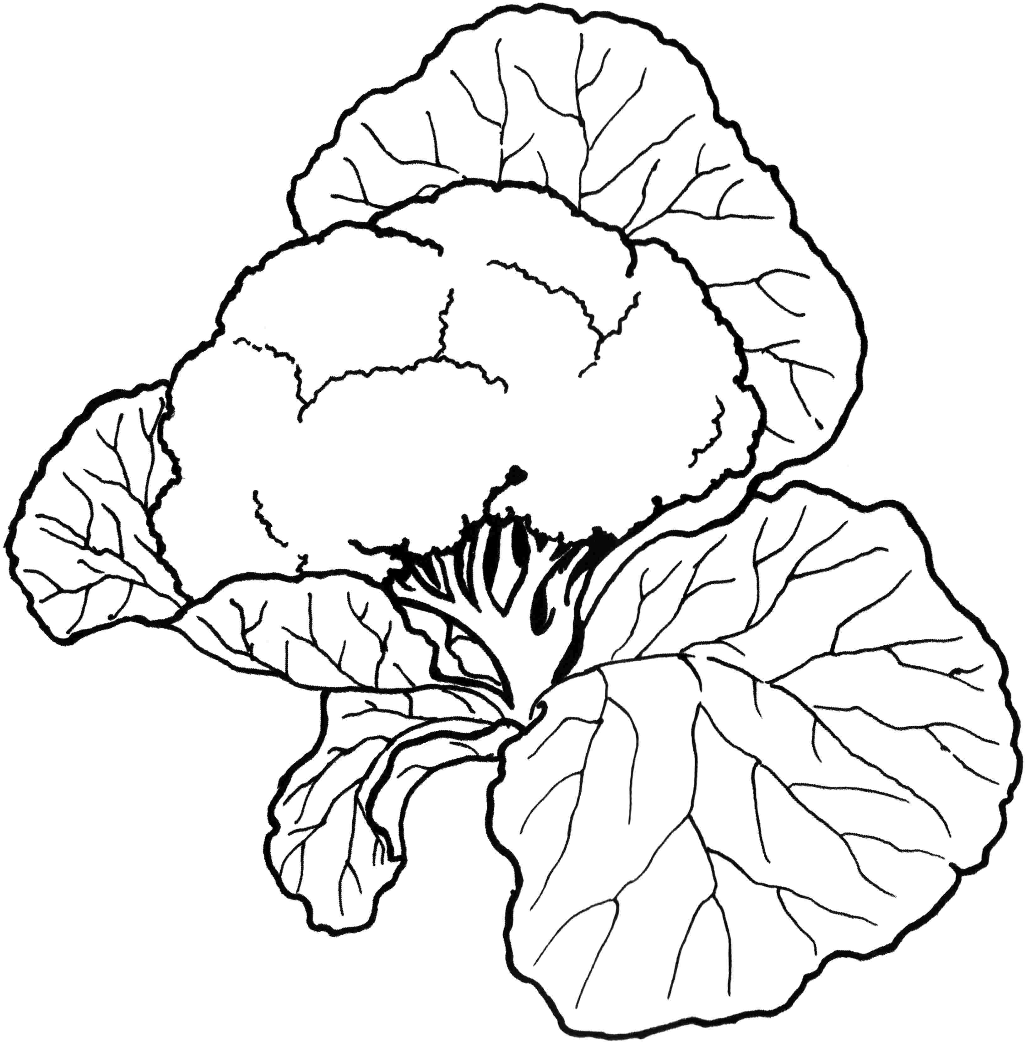 3264x3323 Vegetable Coloring Pages Vegetable Basket Coloring Pages Kids