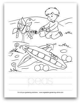 266x336 Child Vegetable Garden, Gardening With Kids, Gardening With Children