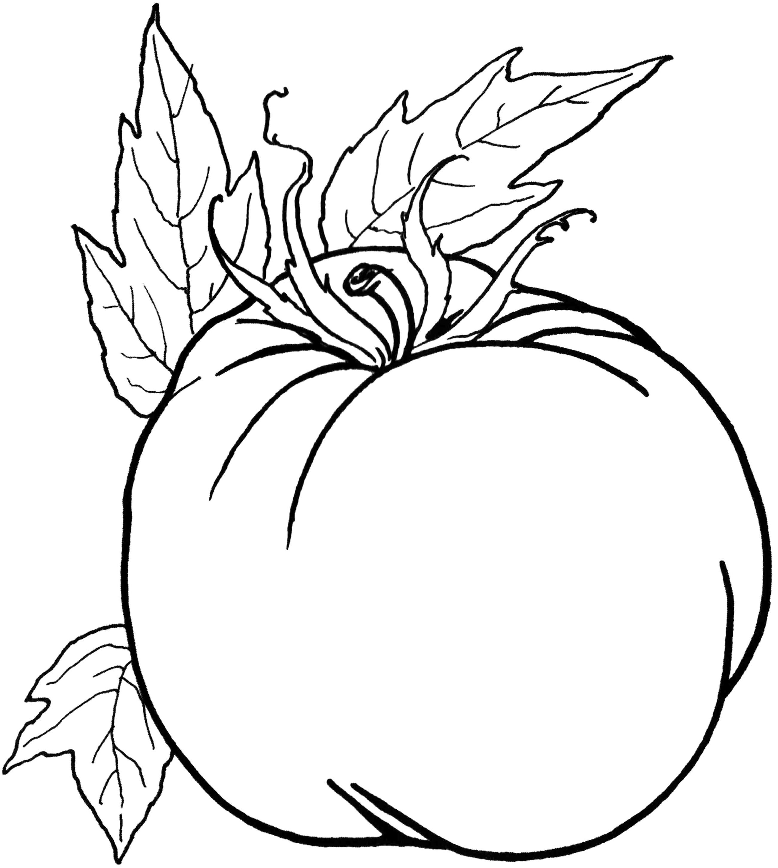 2600x2900 Pumpkin Vegetables Healthy Food Coloring Pages Fall Coloring
