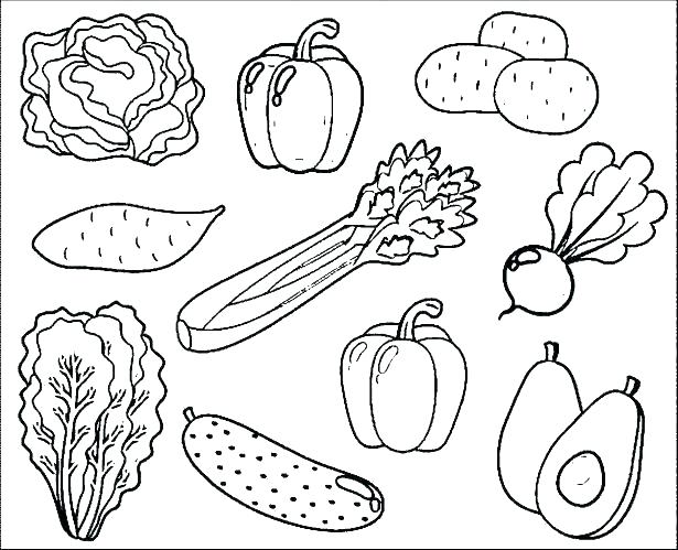 615x499 Vegetable Coloring Pages Fruit And Vegetable Coloring Pages Fruits