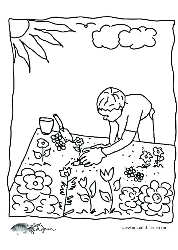 603x848 Vegetable Garden Coloring Pages Garden Coloring Pages Garden