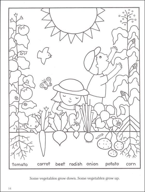 600x794 Gentle Garden Coloring Color Amp Garden Vegetables Additional