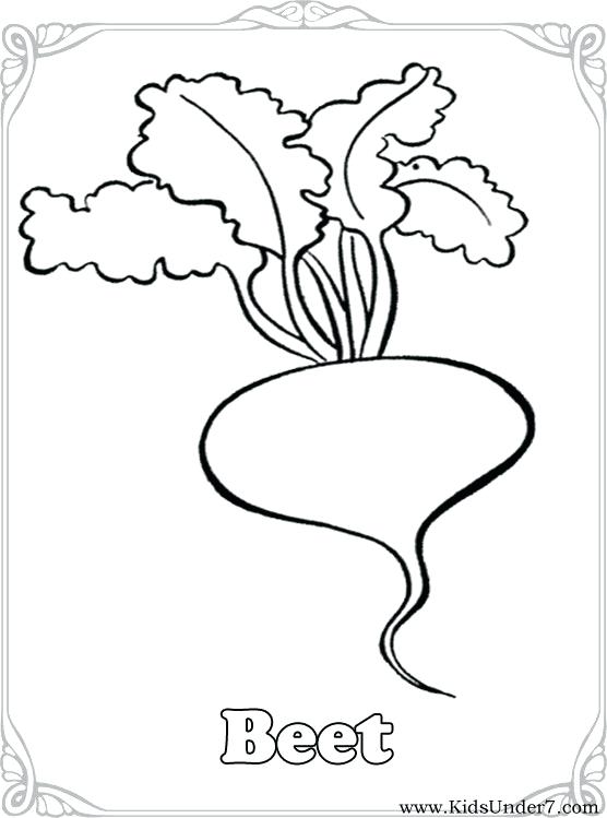 556x749 Vegetable Coloring Pages Kids Under 7 Vegetables Coloring Pages