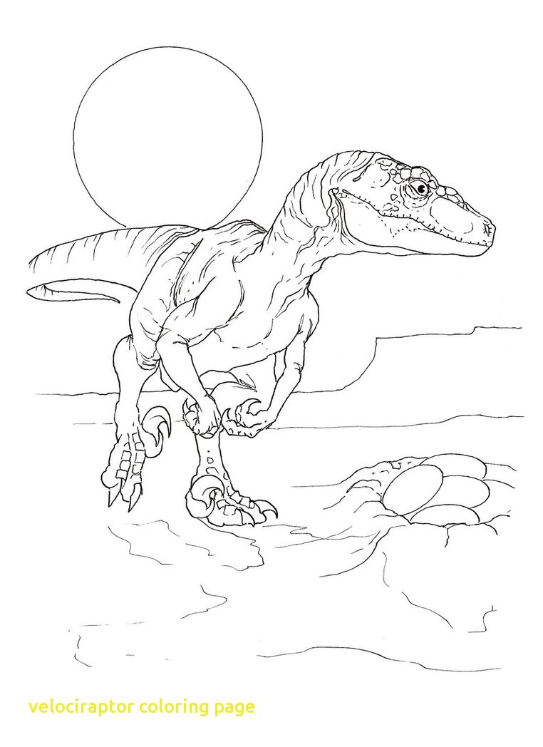 762x1048 Velociraptor Coloring Page