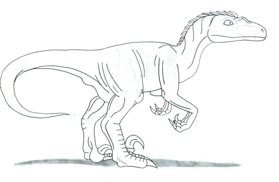1069x700 Velociraptor Coloring Page By On Coloring Page Velociraptor