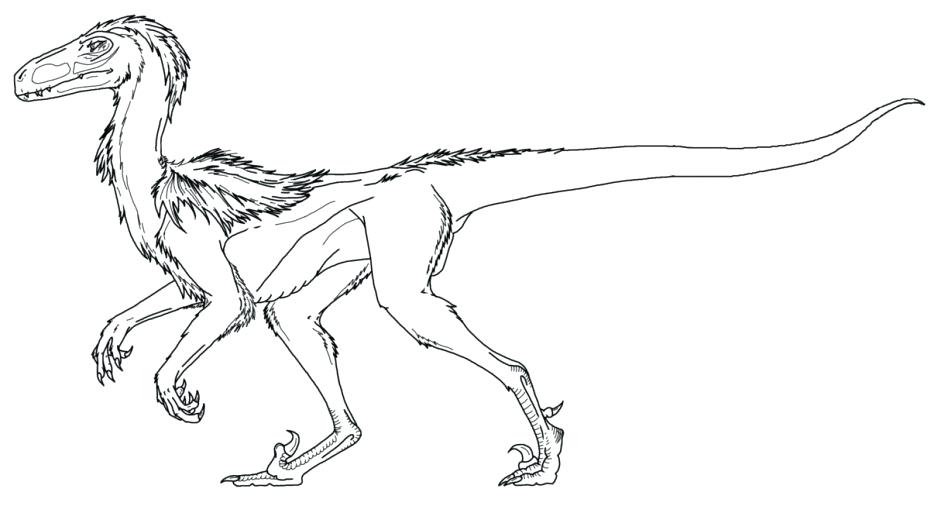 948x506 Velociraptor Coloring Page Pages World Raptor Blue Park Jurassic