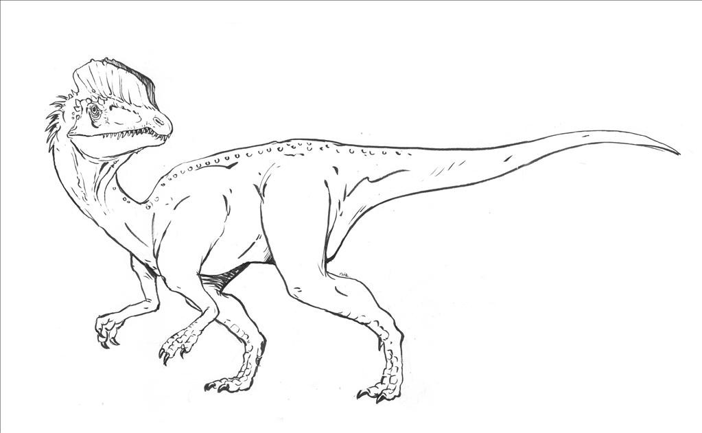 1023x631 Velociraptor Coloring Pages 1023 631 High Definition Intended