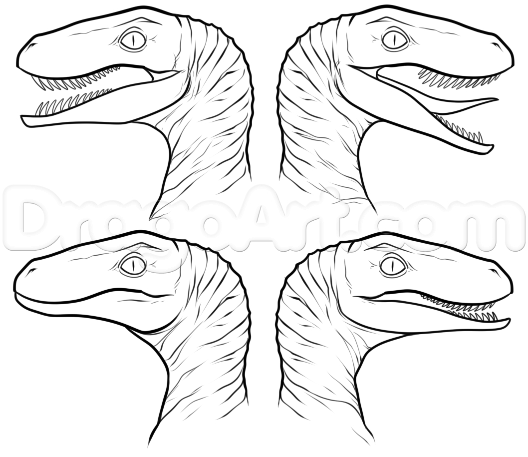 1058x915 Jurassic Park Raptor Coloring Pages Collection Free Coloring Sheets