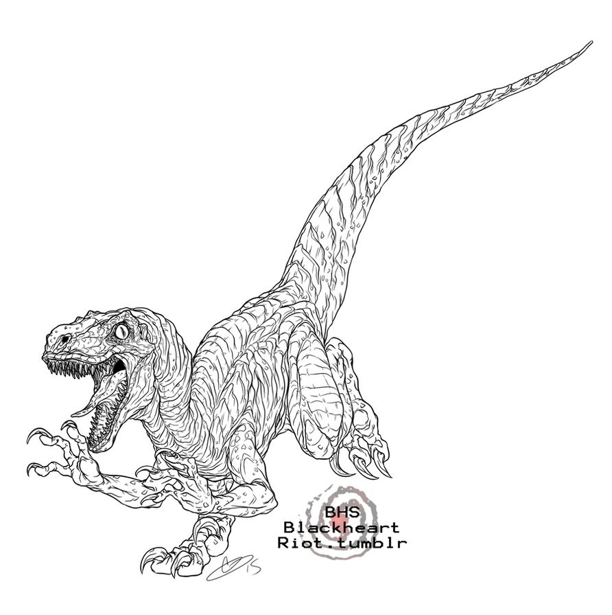 892x895 Jurassic Park Raptor Coloring Pages Collection Free Sheets Fine