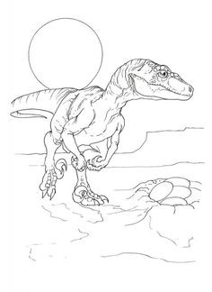 Velociraptor Printable Coloring Pages
