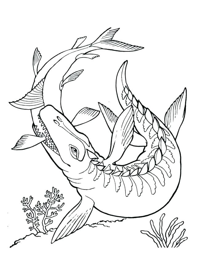 640x881 Velociraptor Coloring Page Coloring Coloring Page Coloring Page