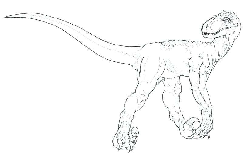 807x512 Velociraptor Coloring Page Coloring Pages By Coloring Sheets