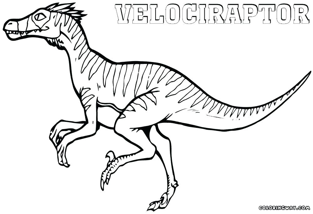 1000x683 Velociraptor Coloring Page Free Printable Coloring Pages