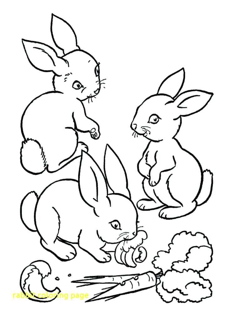 750x1000 Peter Rabbit Coloring Pages On Coloring Peter Velveteen Rabbit