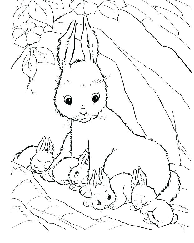 621x777 Coloring Pages Rabbit Coloring Pages Of Rabbits Rabbit Face