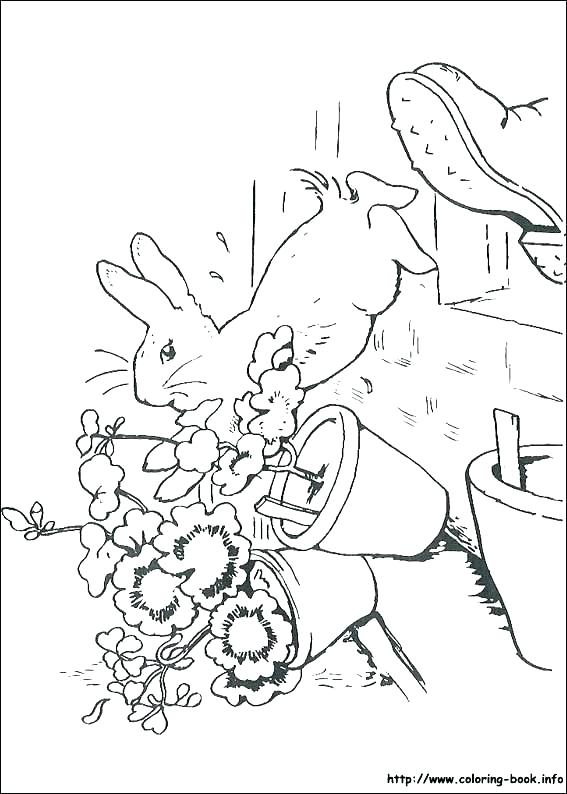 567x794 Free Rabbit Coloring Pages Printable Bunny Rabbit Coloring Page