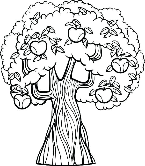 600x684 Venus Fly Trap Coloring Page