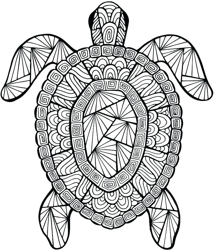 736x866 Detailed Color Pages Pattern Animal Coloring Pages Free Detailed