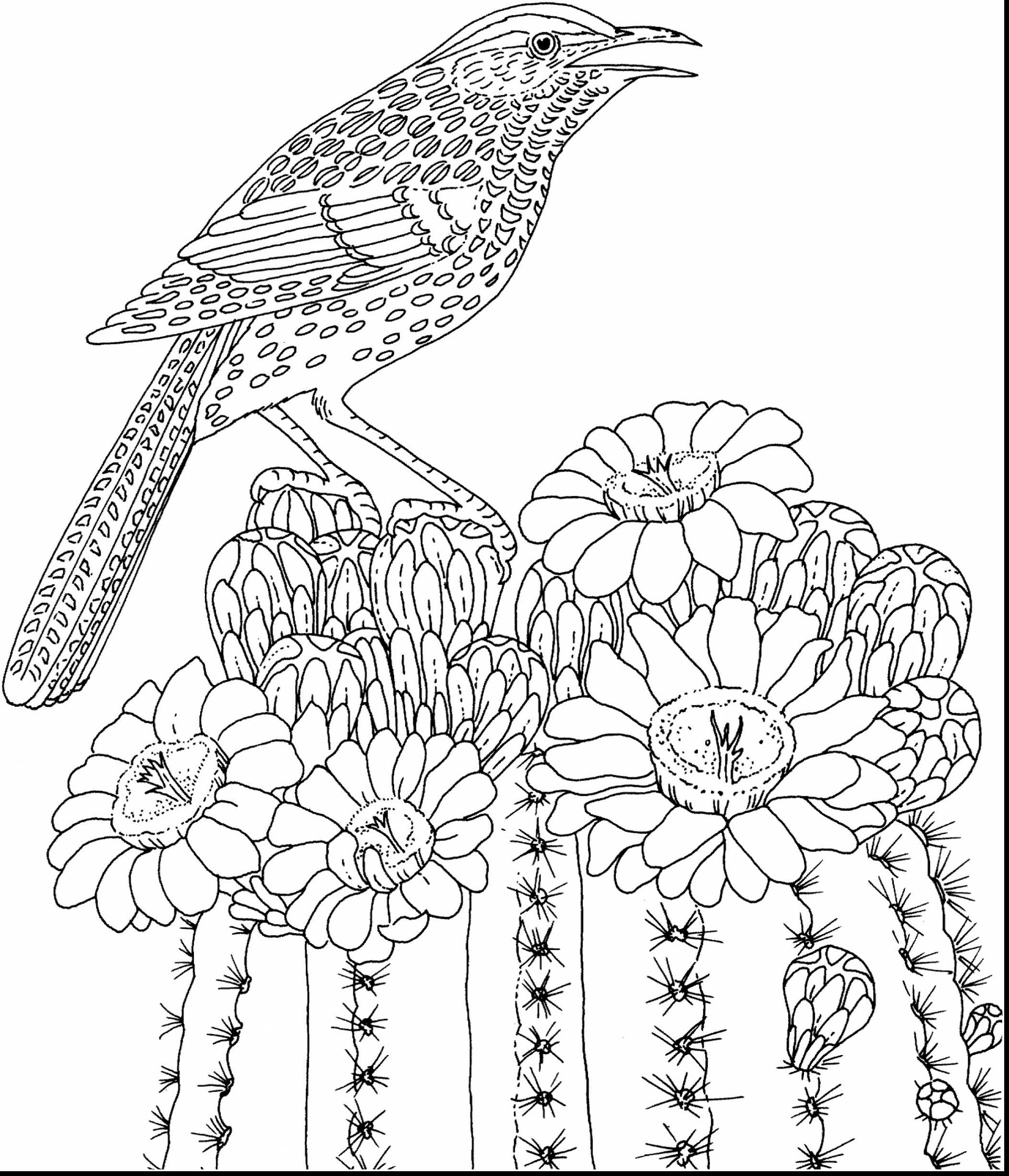 2102x2451 Hard Coloring Pages
