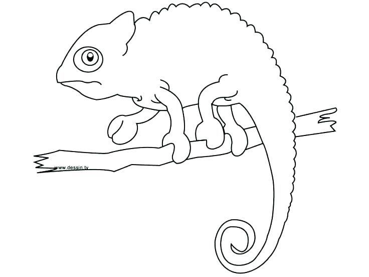 736x552 Very Hungry Caterpillar Coloring Book Together With Coloring
