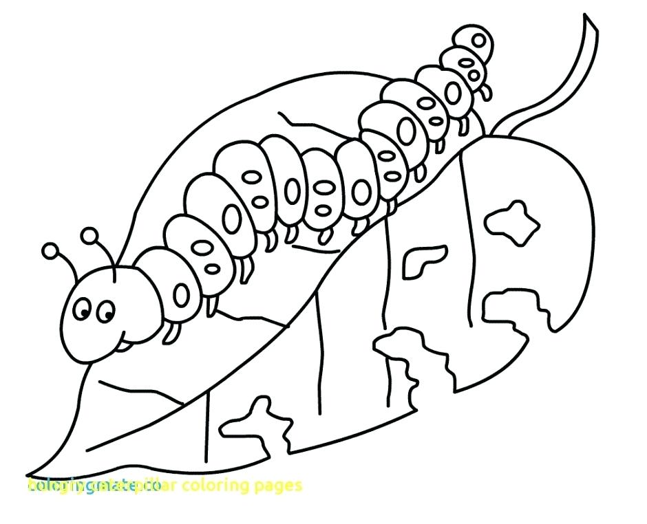 940x762 The Very Hungry Caterpillar Coloring Page Caterpillar Coloring