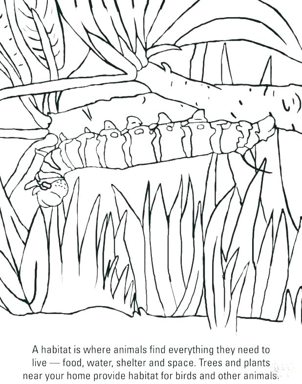 618x785 Coloring Pages Images Book Ideas Free Printable Very Hungry