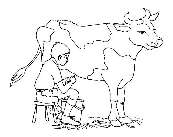 600x475 Veterinarian Coloring Pages Doc Vet Pet Coloring Pages Free
