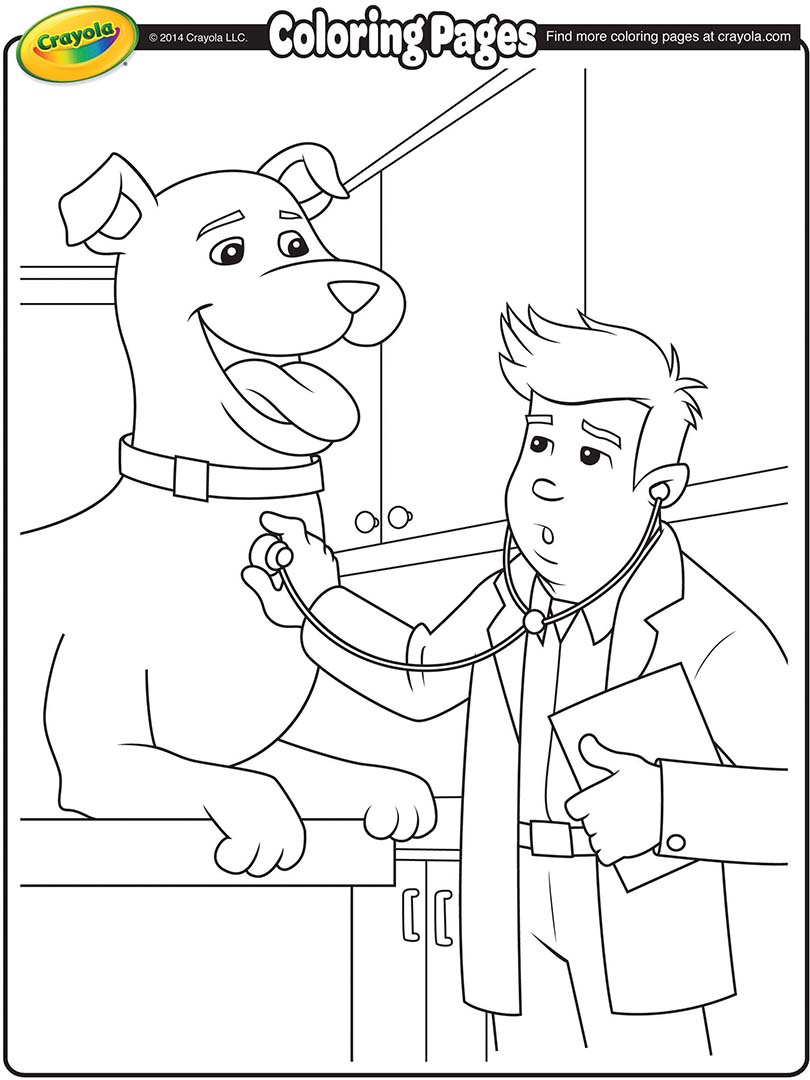 810x1080 Veterinarian Coloring Page