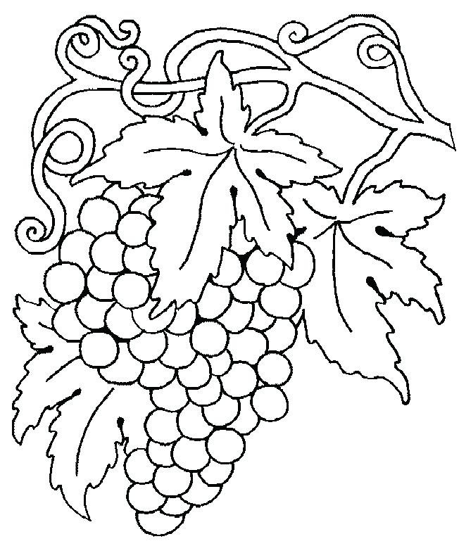 652x786 Grape Coloring Page Grapes Coloring Page 2 Grape Vine Coloring