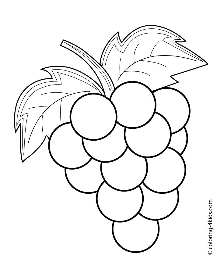 736x895 Grapes Coloring Page Grapes Coloring Page Grape Leaves Coloring